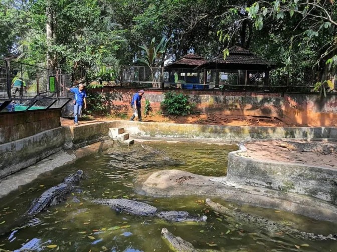 Melaka Crocodile & Recreational Park